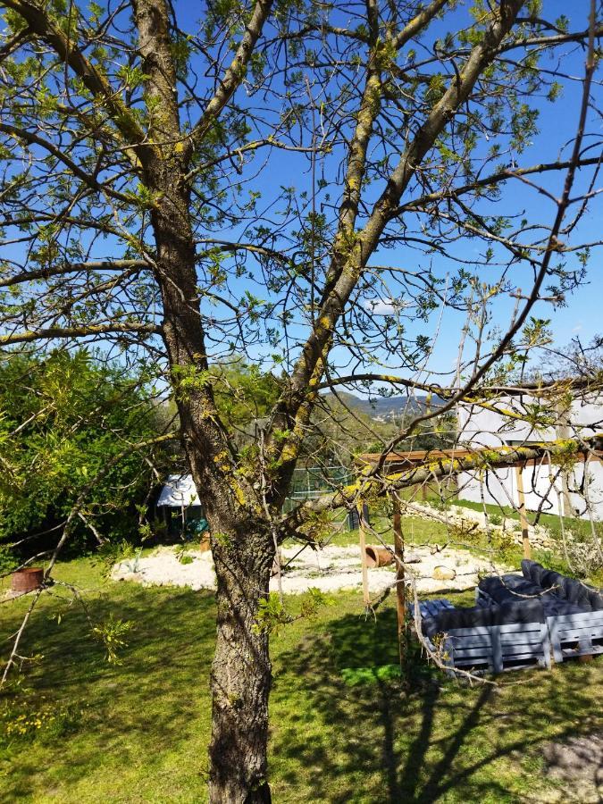 Mobile Home Saint-Christol-lès-Alès エクステリア 写真